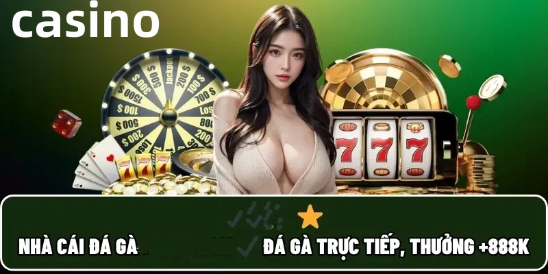 fbv88